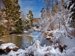 St. John's - Bowring Park winter